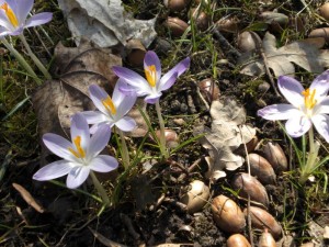 Frühling meets Herbst