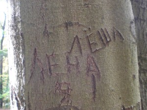 Aljoscha und Lena waren hier.