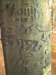 Kukuschka - der Kuckuck.